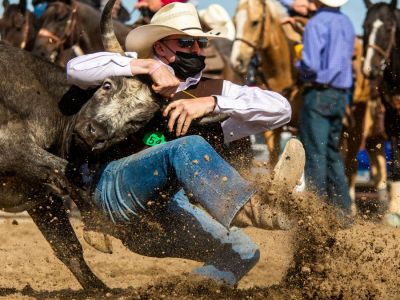 A University of Wyoming bulldogger attempts to bring down his steer, Saturday, Sept. 12, 2020, during the Chadron State College rodeo at the Dawes County Fairgrounds in Chadron, Nebraska. (Brandon Davenport | The Eagle, Chadron, Nebraska) A University of Wyoming bulldogger attempts to bring down his steer, Saturday, Sept. 12, 2020, during the Chadron State College rodeo at the Dawes County Fairgrounds in Chadron, Nebraska. (Brandon Davenport | The Eagle, Chadron, Nebraska)