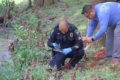 Uvalde Police Sgt. Ramon Morin analyzes a gun recently pulled from the Leona River as detective Renato Lualemaga takes a photo. The duo were among several officers that spent the morning pursuing Caleb Nathaniel Apodaca, who threw the gun into the river following a disturbance in the 100 Block of N. Camp St. on June 20. Fire marshal Juan “Tati” Hernandez ultimately fished the gun out with a magnet. (June 23, 2024 -- Pete Luna | Uvalde (Texas) Leader-News) Uvalde Police Sgt. Ramon Morin analyzes a gun recently pulled from the Leona River as detective Renato Lualemaga takes a photo. The duo were among several officers that spent the morning pursuing Caleb Nathaniel Apodaca, who threw the gun into the river following a disturbance in the 100 Block of N. Camp St. on June 20. Fire marshal Juan “Tati” Hernandez ultimately fished the gun out with a magnet. (June 23, 2024 -- Pete Luna | Uvalde (Texas) Leader-News)