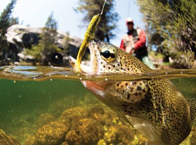 We know what it’s like to “almost” catch the big one, only to lose out at the last minute. At times like that, it might help to remember what speaker, writer and consultant Denis Waitley once said: “There are no mistakes or failures — only lessons.” We know what it’s like to “almost” catch the big one, only to lose out at the last minute. At times like that, it might help to remember what speaker, writer and consultant Denis Waitley once said: “There are no mistakes or failures — only lessons.”